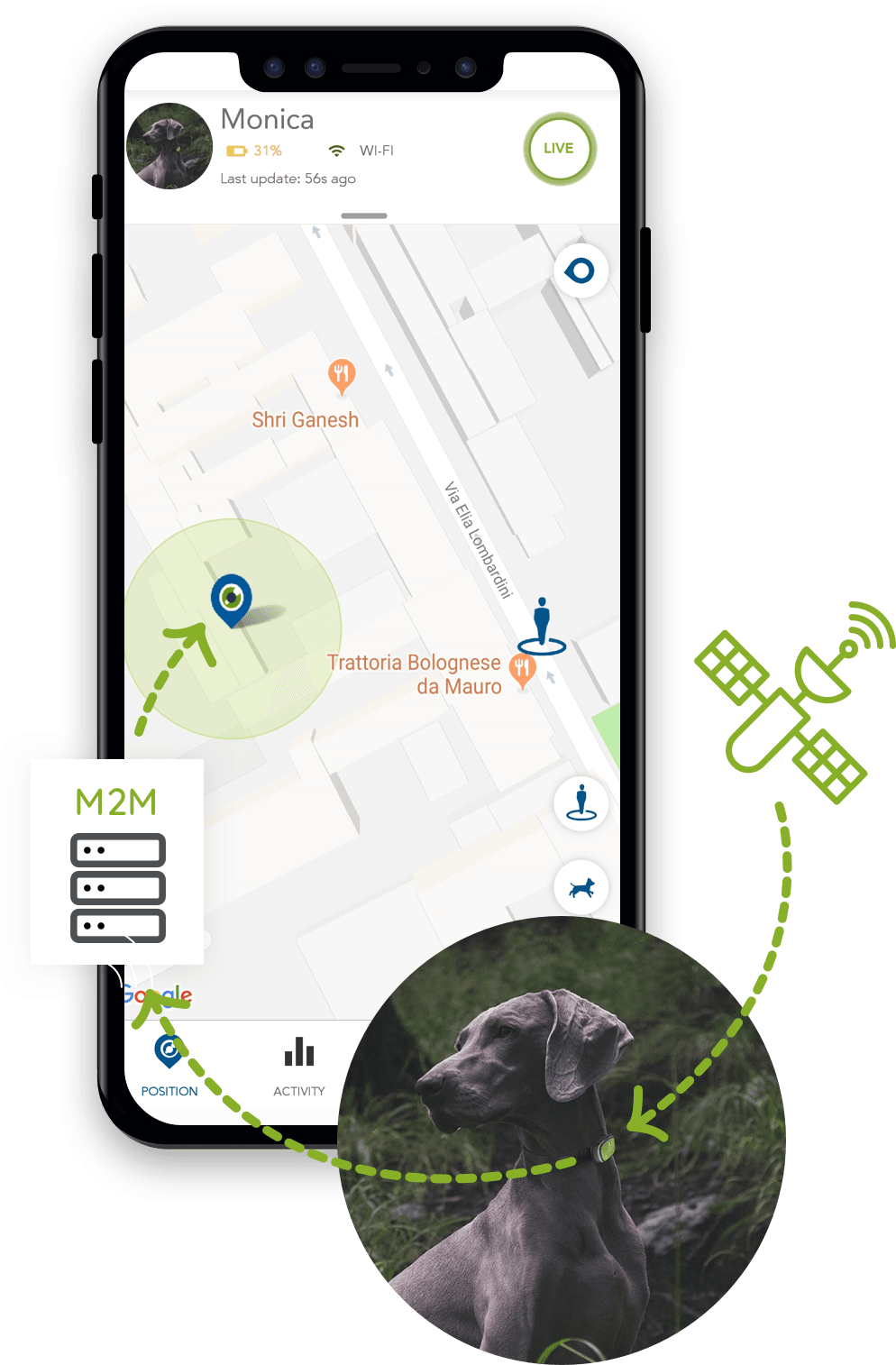 come-funziona-la-localizzazione-kippy
