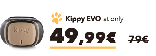 Kippy Evo