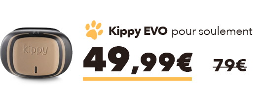 Kippy Evo
