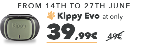 Kippy Evo