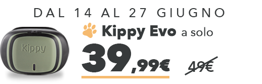 Kippy Evo