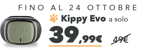 Kippy Evo