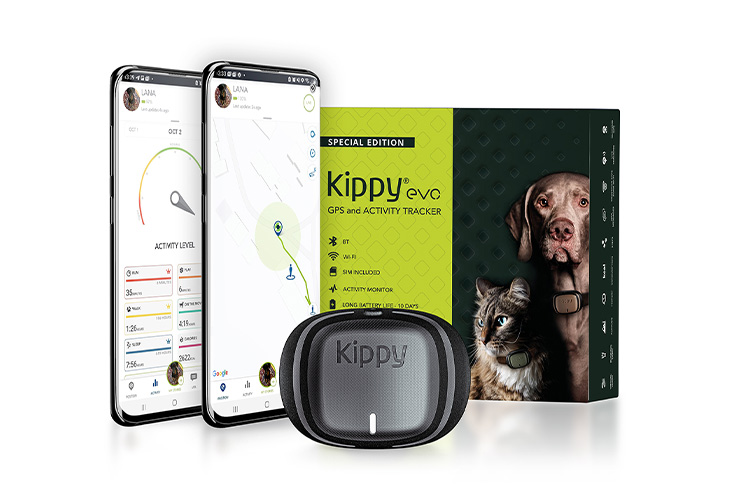 Kippy EVO Grey Stone GPS cani e gatti activity tracker Kippy